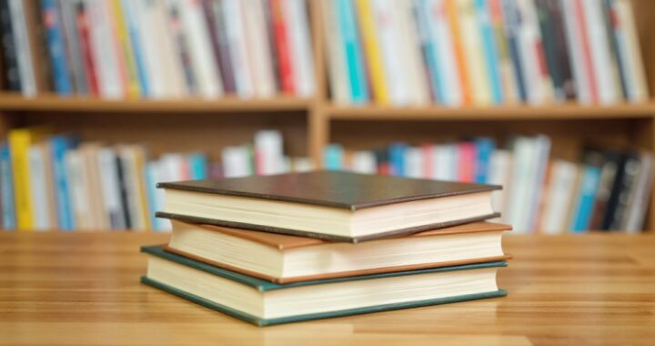 wakacyjne-przygody-z-panem-kuleczk---w-bibliotece--auto-6300