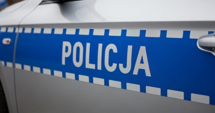 policja-w-akcji--sprawdzaj---doniesienia-o-rzekomy-auto-6650